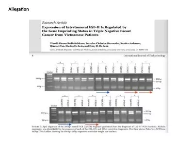 Allegation  Raw Scanned data File generated after experiments from Gel Doc system