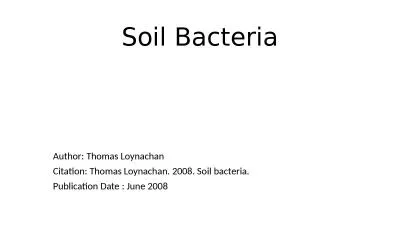 Soil Bacteria Author: Thomas
