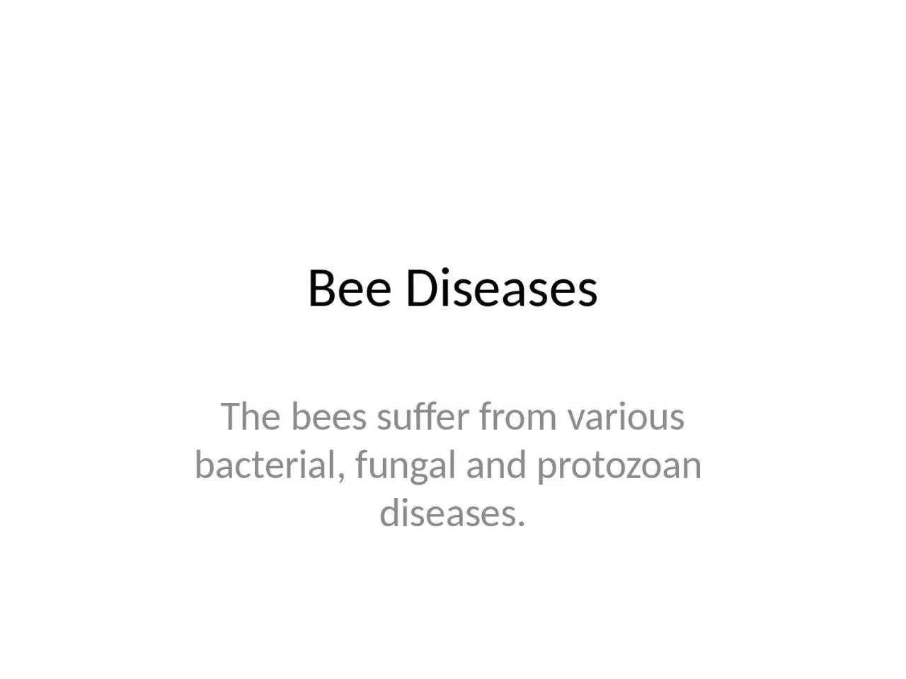 PPT-Bee Diseases The bees suffer from various bacterial, fungal and protozoan diseases.