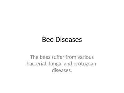 Bee  Diseases The bees suffer from various bacterial, fungal and protozoan  diseases.