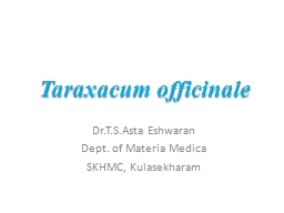 Taraxacum   officinale Dr.T.S.Asta