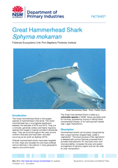 Great Hammerhead Shark.  Photo: Frederic Buyle The Great Hammerhead Sh