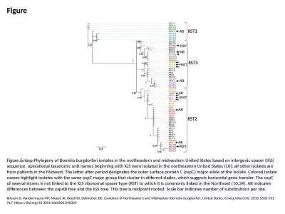 Figure Figure.&nbsp;Phylogeny of Borrelia burgdorferi isolates in the northeastern and midweste