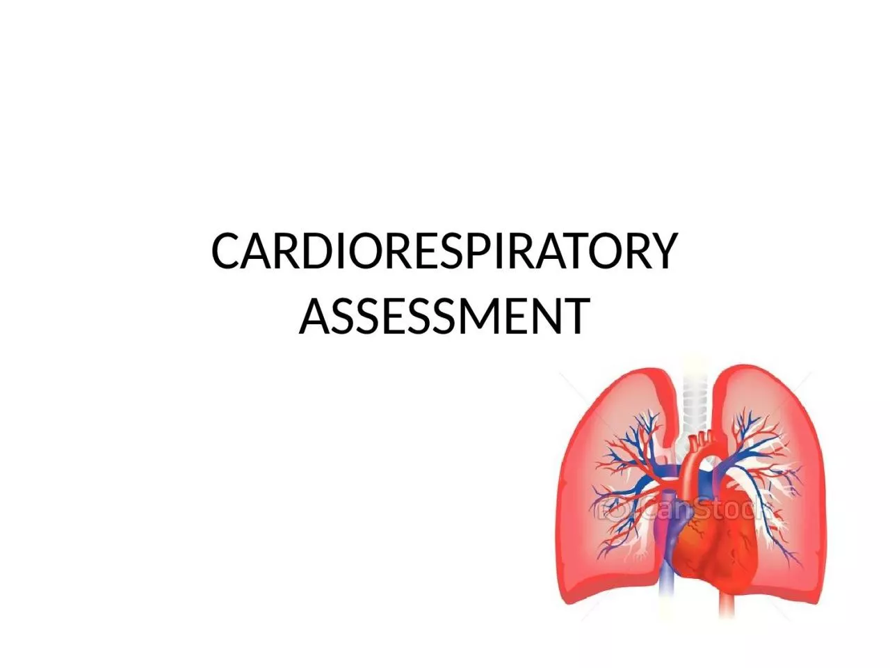 PPT-CARDIORESPIRATORY ASSESSMENT