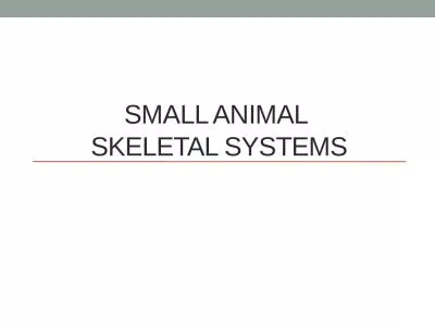 Small Animal  Skeletal Systems