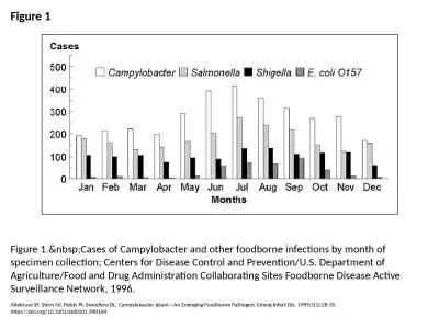 Figure 1 Figure 1.&nbsp;Cases of Campylobacter and other foodborne infections by month of speci