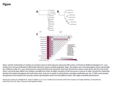 Figure Figure. Genetic relationships of Candida auris isolates based on whole-genome sequencing