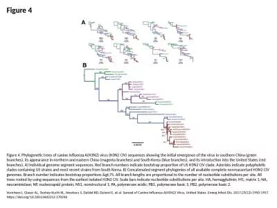 Figure 4 Figure 4. Phylogenetic trees of canine influenza A(H3N2) virus (H3N2 CIV) sequences showin