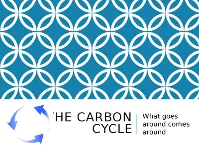 The carbon cycle What goes around comes around