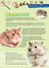 In the wild, hamsters live in underground burrows where they sleep, st