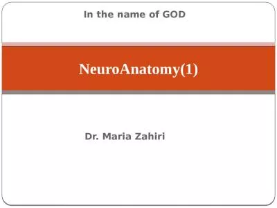 In the name  of GOD  NeuroAnatomy