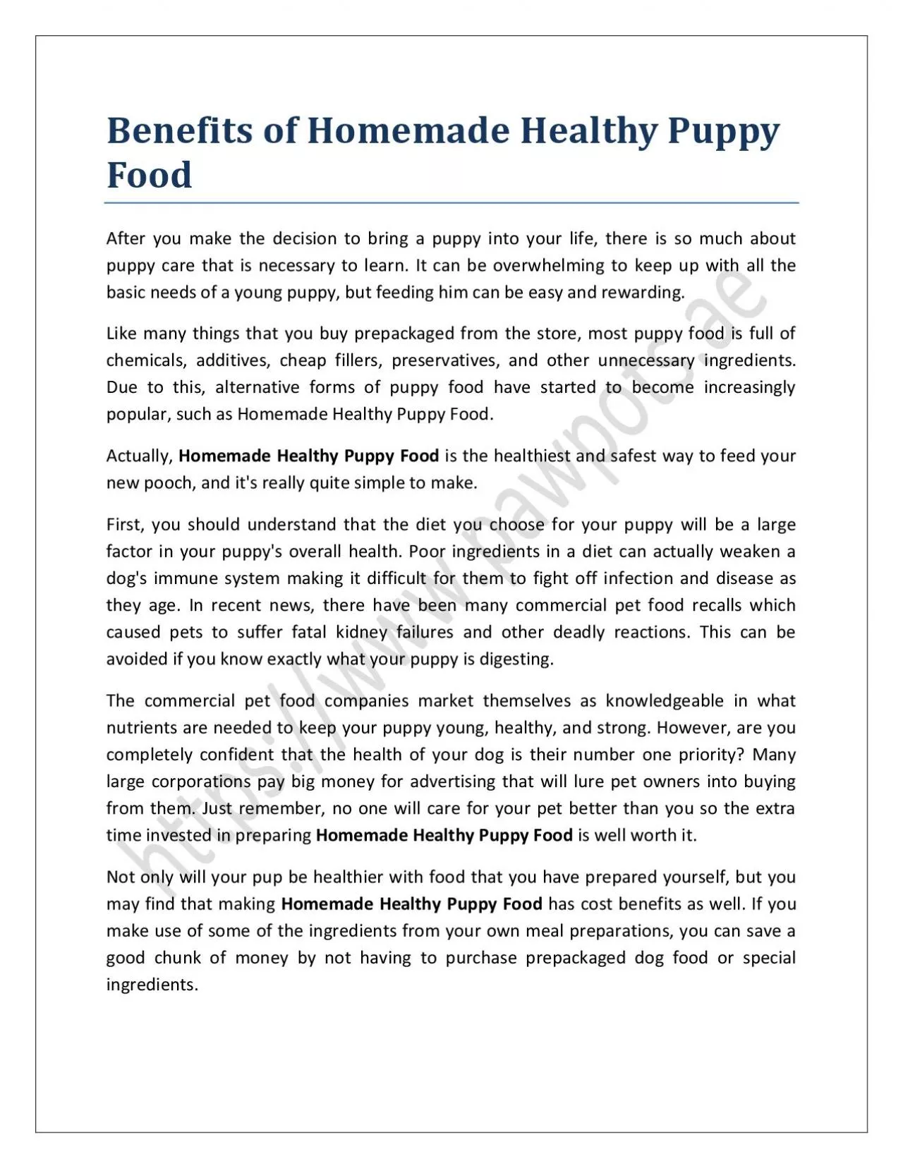 Benefits of Homemade Healthy Puppy Food