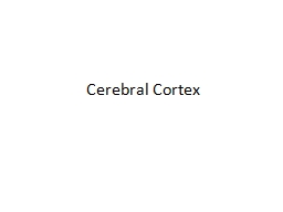 Cerebral Cortex Functional classification of cerebral cortex